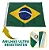 Bandeira Do Brasil 2 Panos (1,28x0,90cm) Padrão Oficial - Imagem 2