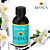 Essência para sabonete Lipossolúvel 100ml - Baunilha Vanilla - Imagem 1