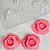 Molde de acetato - Rosa - Imagem 4