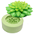 Molde de silicone Suculenta Agave - Imagem 1