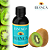 Essência Hidro Plus - Kiwi 100ml - Imagem 1