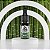 Essência Concentrada Bambu 10ml - PRA CIMA FAVELA - Imagem 3