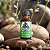 Óleo Essencial Lemongrass 10ml - PRA CIMA FAVELA - Imagem 3