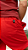 Bermuda Tactel Vermelho Masculina - Imagem 1