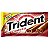 CHICLE TRIDENT CANELA 21UN   (32) DP/1 - Imagem 1