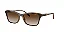 Vogue 0VO5551S 238613 54 Top Havana/Light Brown/ Brown Gradient - Imagem 2