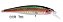 Isca Artificial Marine Sports Savage 120 - 12,0cm 19g Meia agua - Imagem 3