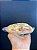 Pizza De Frango 200g -  Qerita Saudavel - Imagem 3