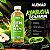 Benjamim Kombucha – Maçã Verde 400 ml - Imagem 1