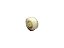 RODA DE SUBIDA {0400008} - PL / PLZ - Imagem 1