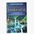 LIVRO OS ARQUÉTIPOS DA UMBANDA – AS HIERARQUIAS ESPIRITUAIS DOS ORIXÁS | Rubens Saraceni | Umbanda | Orixás - Imagem 2
