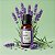 Óleo Essencial de Lavanda Concentrado - 10ml - 1 unidade - Rizzo - Imagem 1