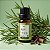 Óleo Essencial de Alecrim Concentrado - 10ml - 1 unidade - Rizzo - Imagem 1