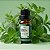 Óleo Essencial de Menta Tri Retrificada Concentrado - 10ml - 1 unidade - Rizzo - Imagem 1