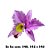 Molde de silicone Veiner Orquídea Superior Ref. 543 Flexarte - Imagem 2