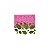 Molde de Silicone Folhas S338 Molds Planet Rizzo Confeitaria - Imagem 1