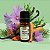 Essência Para Aromatizador Elétrico - Warm Woody - 10ml - 1 unidade - Vya - Rizzo - Imagem 1