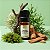 Essência Para Aromatizador Elétrico - Sândalo E Carvalho - 10ml - 1 unidade - Vya - Rizzo - Imagem 1