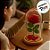 Enfeite Decorativo Rosa Encantada em Cúpula de Vidro Com Led - 11x22cm - 1 unidade - Rizzo - Imagem 5