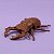 Besouro de Borracha Grande - "Enfeite de Besouro" - 1 Unidade - Rizzo - 1 unidade - Rizzo - Imagem 1