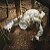 Action Figure Dungeons and Dragons Owlbear/Doric Golden Archive - Hasbro - Imagem 5