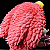 Estátua Donquixote Doflamingo - One Piece - Imagem 4
