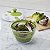 Centrifuga De Salada Cuisinart Ctg-00-Sas - Imagem 6