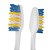Escova de Dente Colgate Classic Clean Macia 4 unidades - Imagem 2