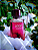Joop! Homme de Joop! - Perfume 125ml - Imagem 2