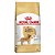 Royal Canin Dog Golden Adult 12 Kg - Imagem 1