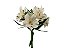 ALSTROEMERIA BRANCA - Imagem 1
