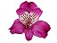 ALSTROEMERIA HELENA 070 CM ROXO - Imagem 1