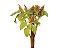 AMARANTHUS DOBRADO 060 CM BRONZE - Imagem 1