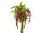 AMARANTHUS DOBRADO 060 CM PINK - Imagem 1