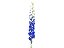 DELPHINIUM 090 CM AZUL - Imagem 1