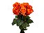 ROSA ORANGE WAVE 040 CM ESTUFA - Imagem 1
