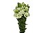 LISIANTHUS ARENA III GREEN 070 CM MIN 500 GRAMAS - Imagem 1