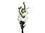 LISIANTHUS BRANCO 070 CM MIN 500 GRAMAS - Imagem 1