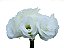 LISIANTHUS FLOR BRANCO - Imagem 1