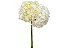 HORTENSIA FORCE 060 CM BRANCO - Imagem 1