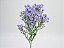 ASTER DOBRADO PLUS 070 CM MIN 20 GRAMAS LILAS - Imagem 1