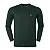 Sueter Ralph Lauren Masculino Fleece Sweatshirt Cor Verde - Imagem 1