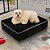 Cama Box Pet Cachorro Gato Várias Cores - Todo Carinho ao Seu PET - Imagem 4