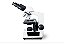 MICROSCÓPIO BASIC BINOCULAR BIOLÓGICO ACROMÁTICO - KASVI - Imagem 3