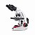 MICROSCOPIO BIOLOGICO BINOCULAR SERIE RED - KASVI - Imagem 1
