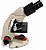 MICROSCOPIO BIOLOGICO BINOCULAR SERIE RED - KASVI - Imagem 2