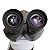 MICROSCOPIO BINOCULAR OTICA INFINITA (UIS) - FIRSTLAB - Imagem 1