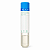 SWAB P/ COLETA E TRANSPORTE DE AMOSTRAS C/ MEIO AMIES HASTE PLASTICA - CX/100 - ABSORVE - Imagem 2