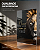 Quadro Decorativo Leão de Acrílico Cristal | A4 297 x 210mm | Impressão UV - Imagem 1