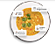 Sopa Da Vovó Macarrão Com Legumes Sem Glúten Holysoup 130g - Imagem 2